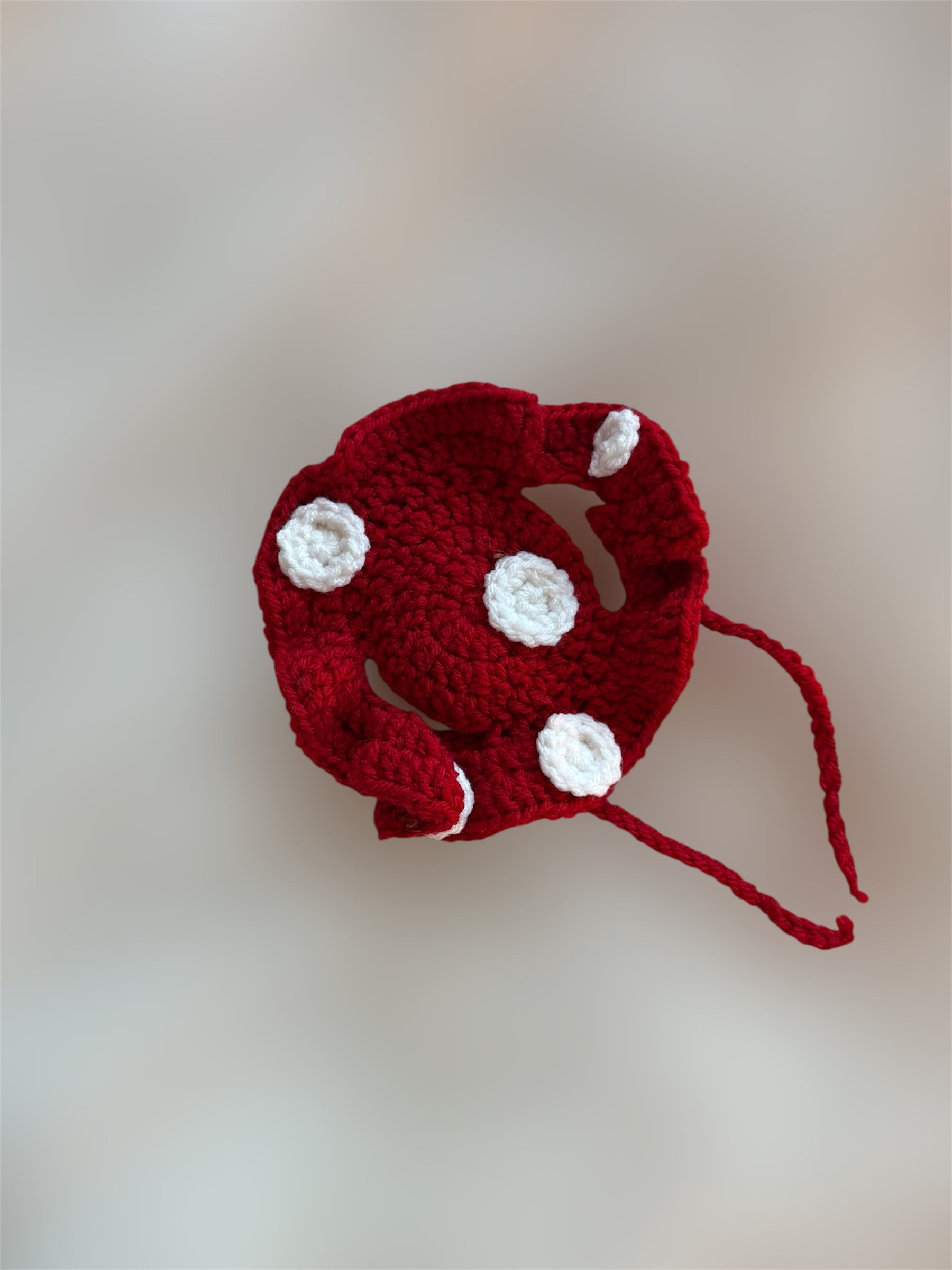 Cat Hat